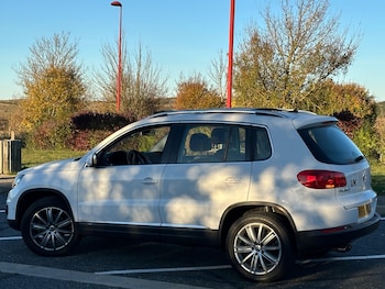 Used Volkswagen Tiguan 2013 for sale - 76412401: Photo