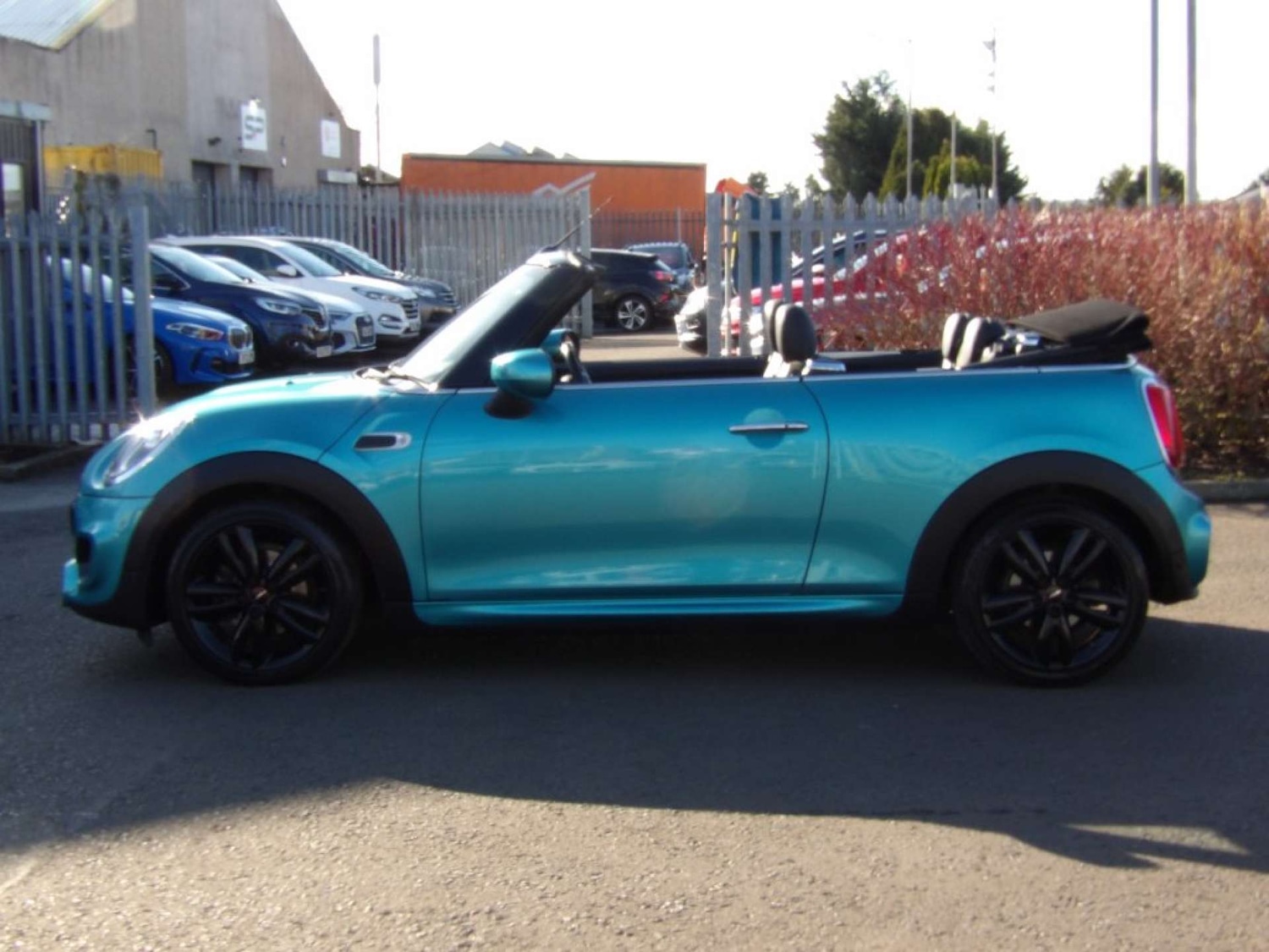 Used MINI Convertible 2019 for sale - 77807478: Photo 12