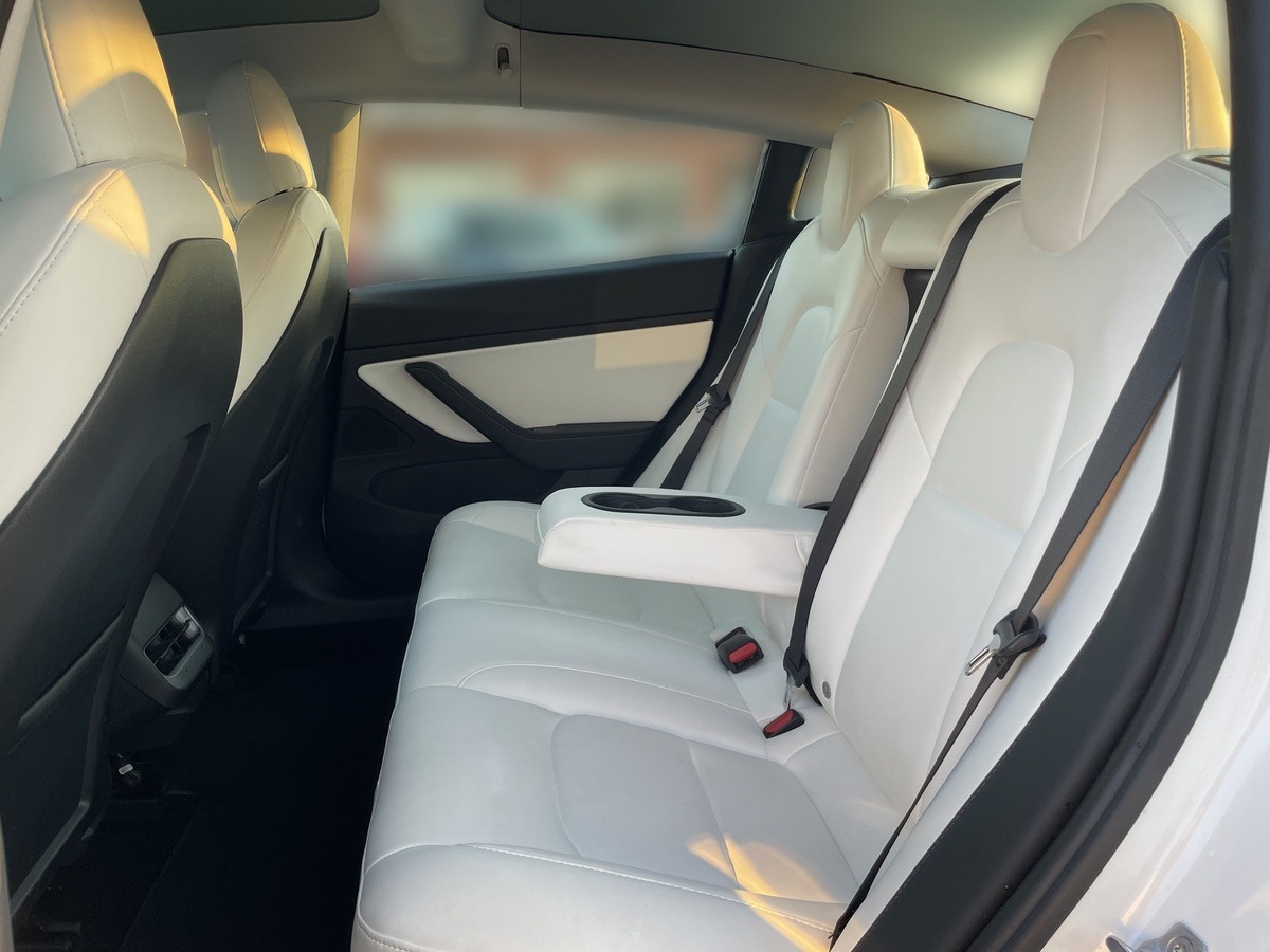 Used Tesla Model 3 2020 for sale - 77954498: Photo 16