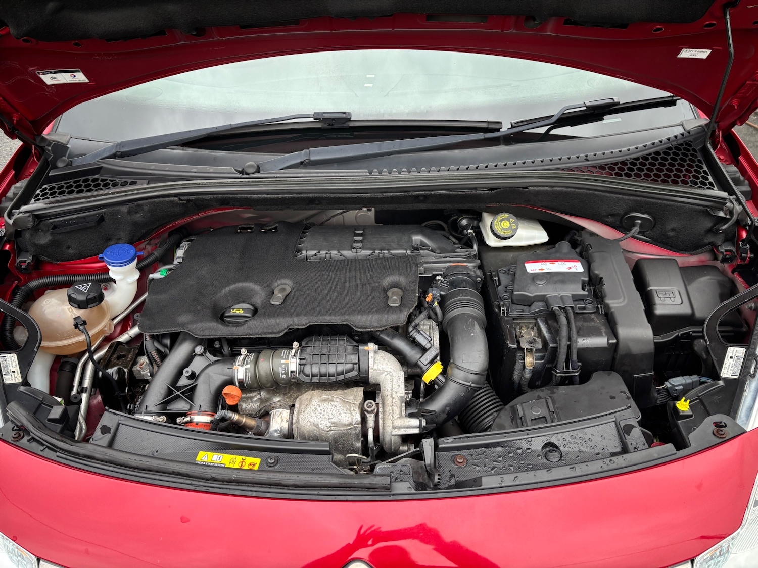 Used Citroen C3 2015 for sale - 77610463: Photo 9