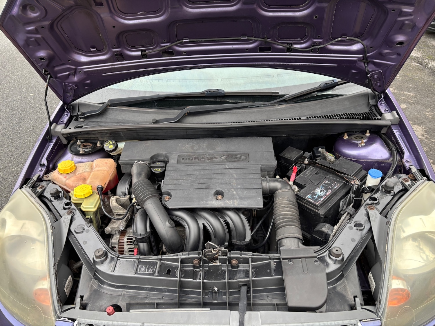 Used Ford Fiesta 2008 for sale - 77379322: Photo 11