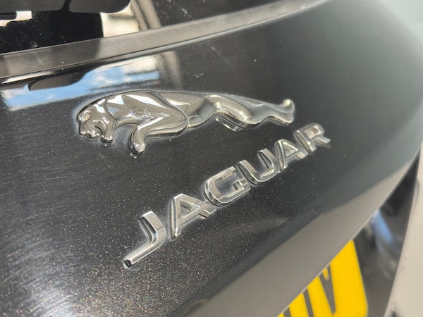 Used Jaguar F-Pace 2019 for sale - 75239957: Photo 13