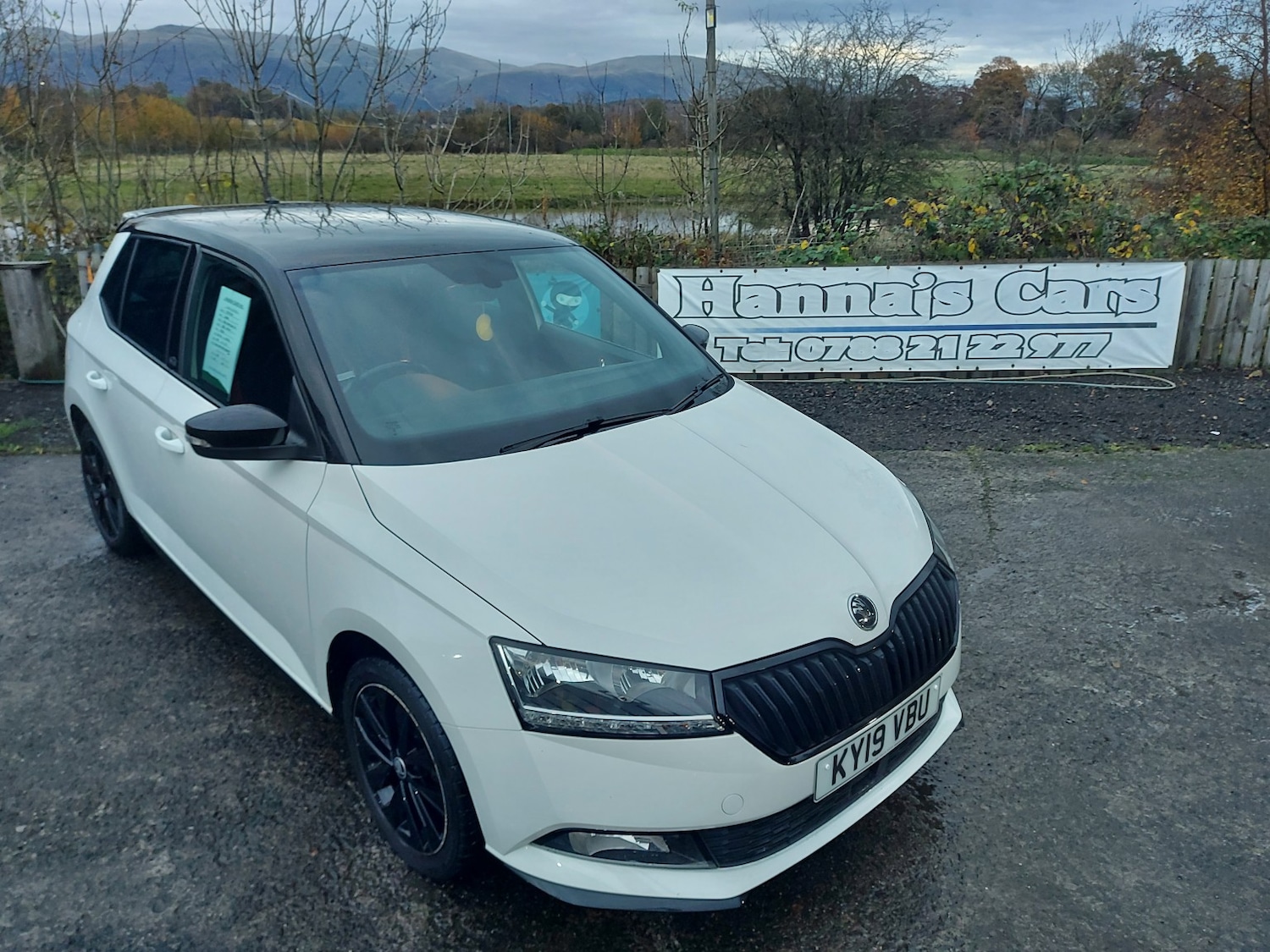 Used Skoda Fabia 2019 for sale - 76598749: Photo 2
