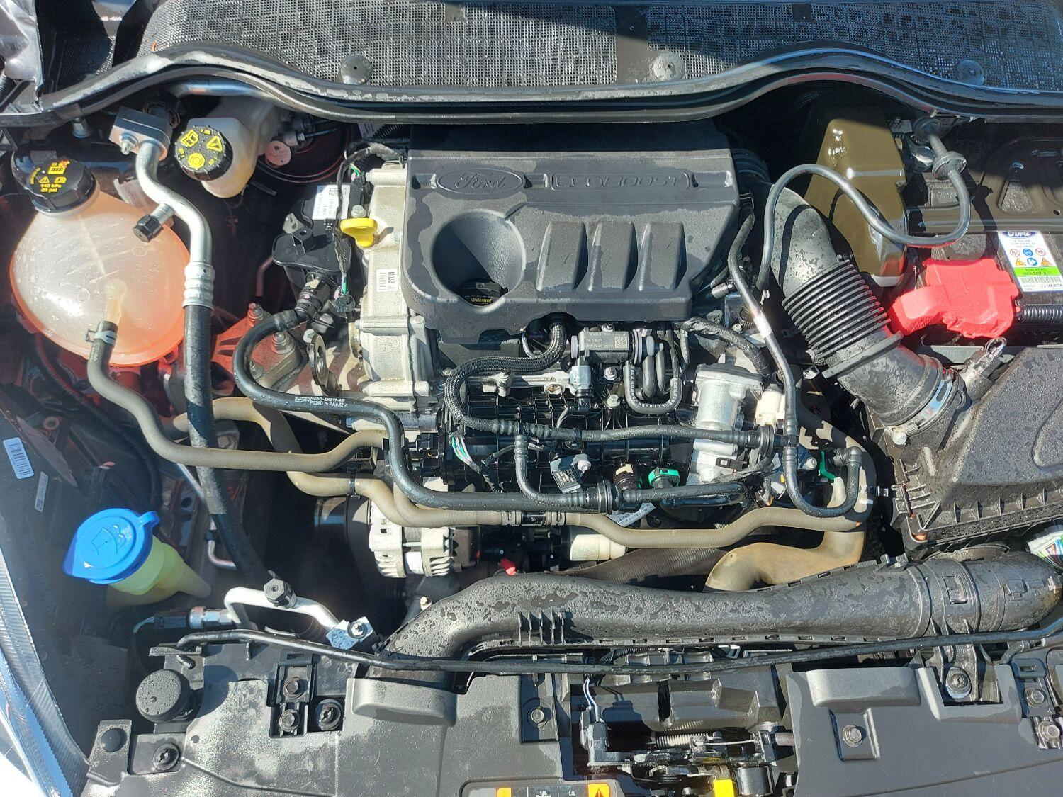 Used Ford Fiesta 2021 for sale - 76794386: Photo 20