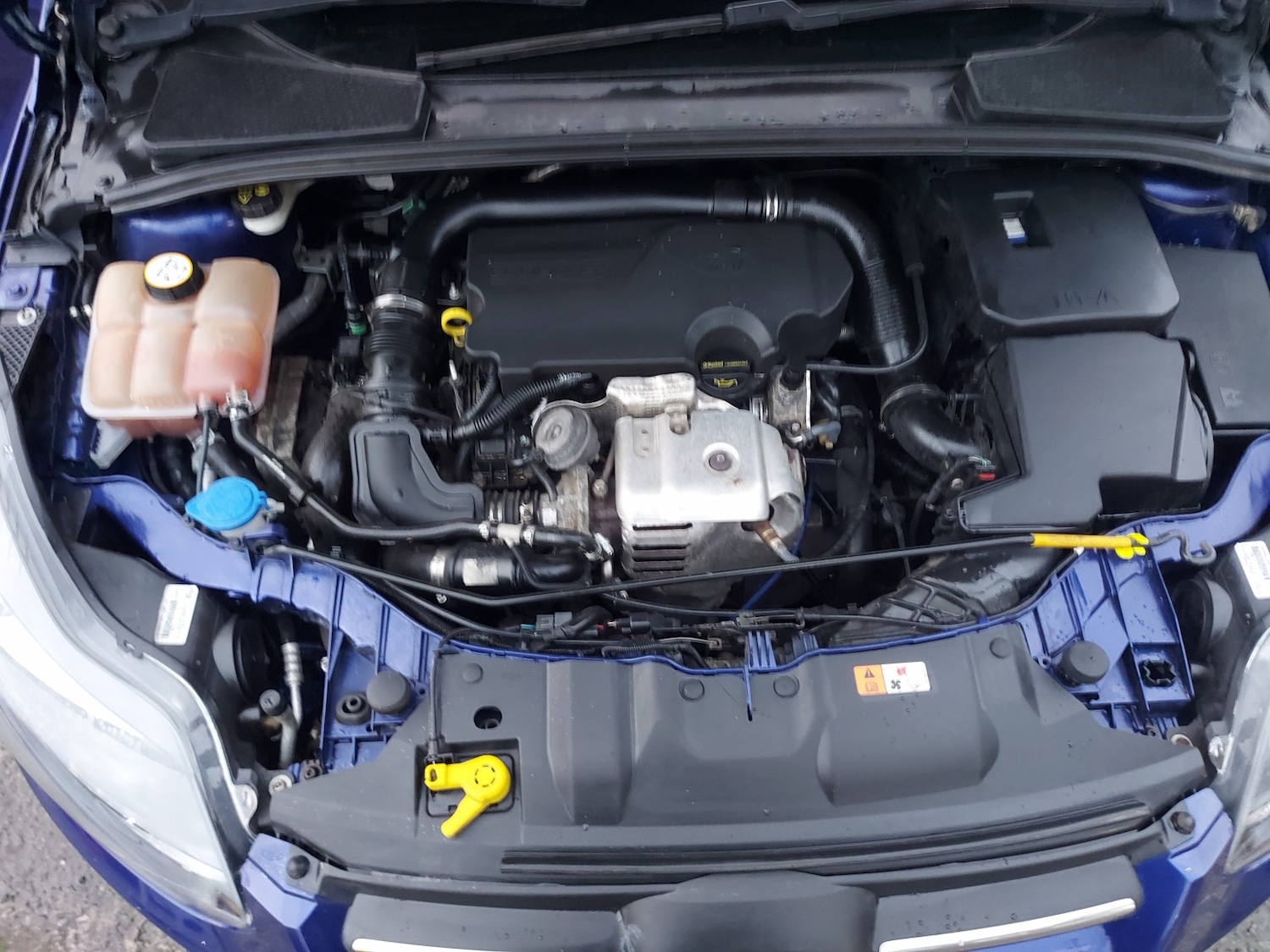 Used Ford Focus 2014 for sale - 76598762: Photo 17