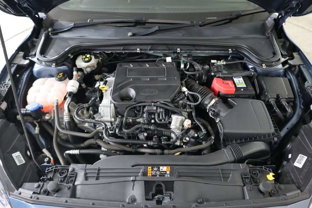 Used Ford Focus 2020 for sale - 77111077: Photo 14