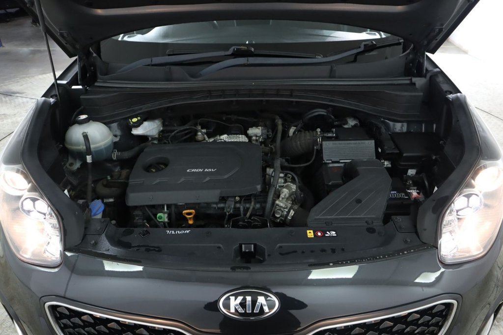 Used Kia Sportage 2017 for sale - 76820944: Photo 10