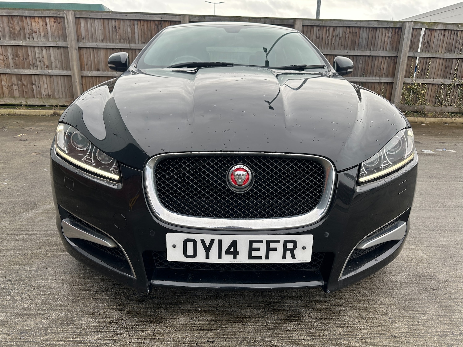 Used Jaguar XF 2014 for sale - 77634742: Photo 2