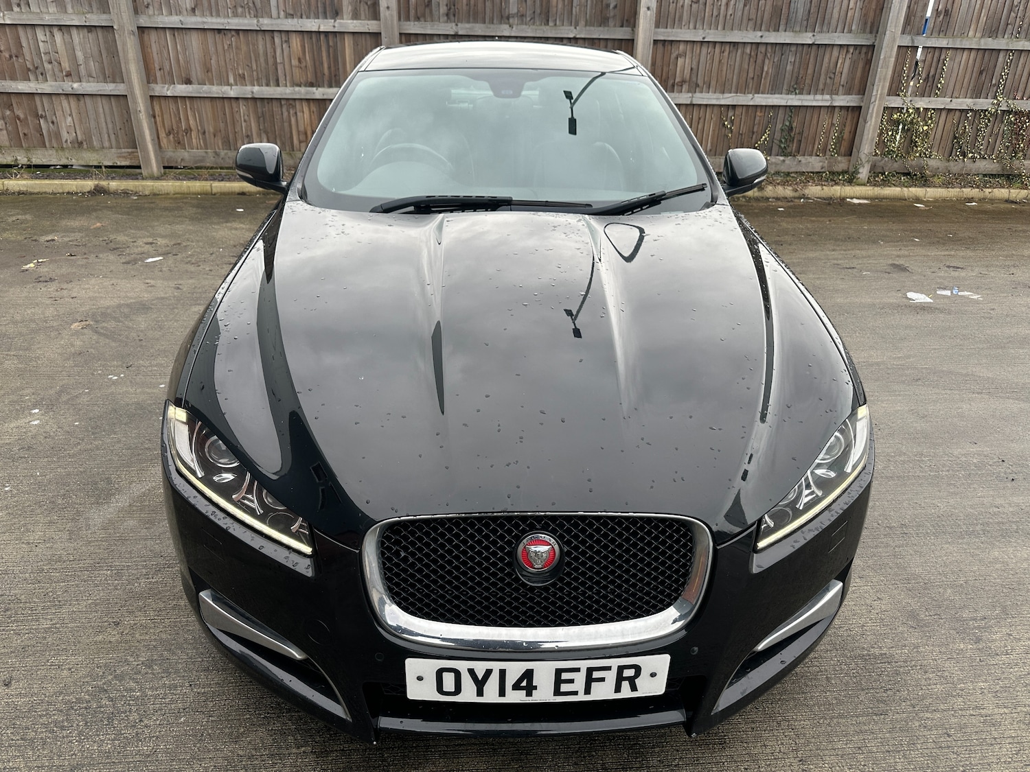 Used Jaguar XF 2014 for sale - 77634742: Photo 3