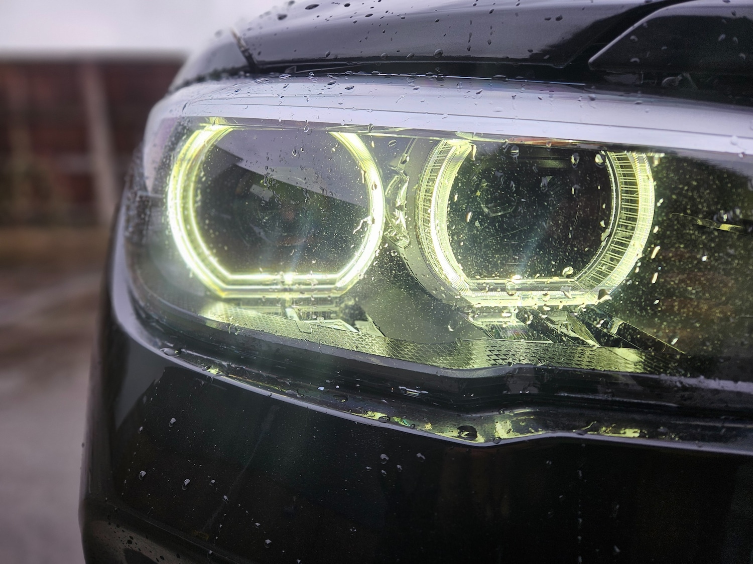 Used BMW 1 Series 2019 for sale - 77167343: Photo 2