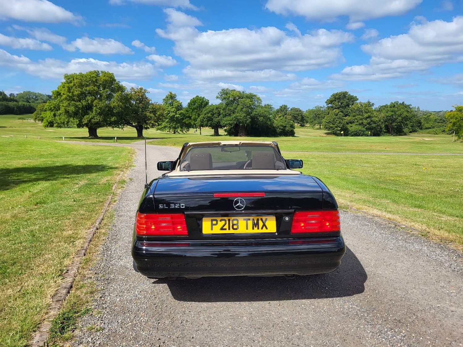 Used Mercedes-Benz S Class 1997 for sale - 77970737: Photo 6