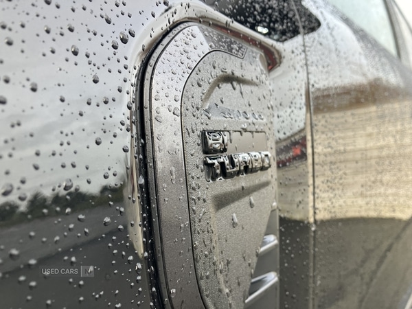 Used Ford Ranger 2023 for sale - 77156839: Photo 5