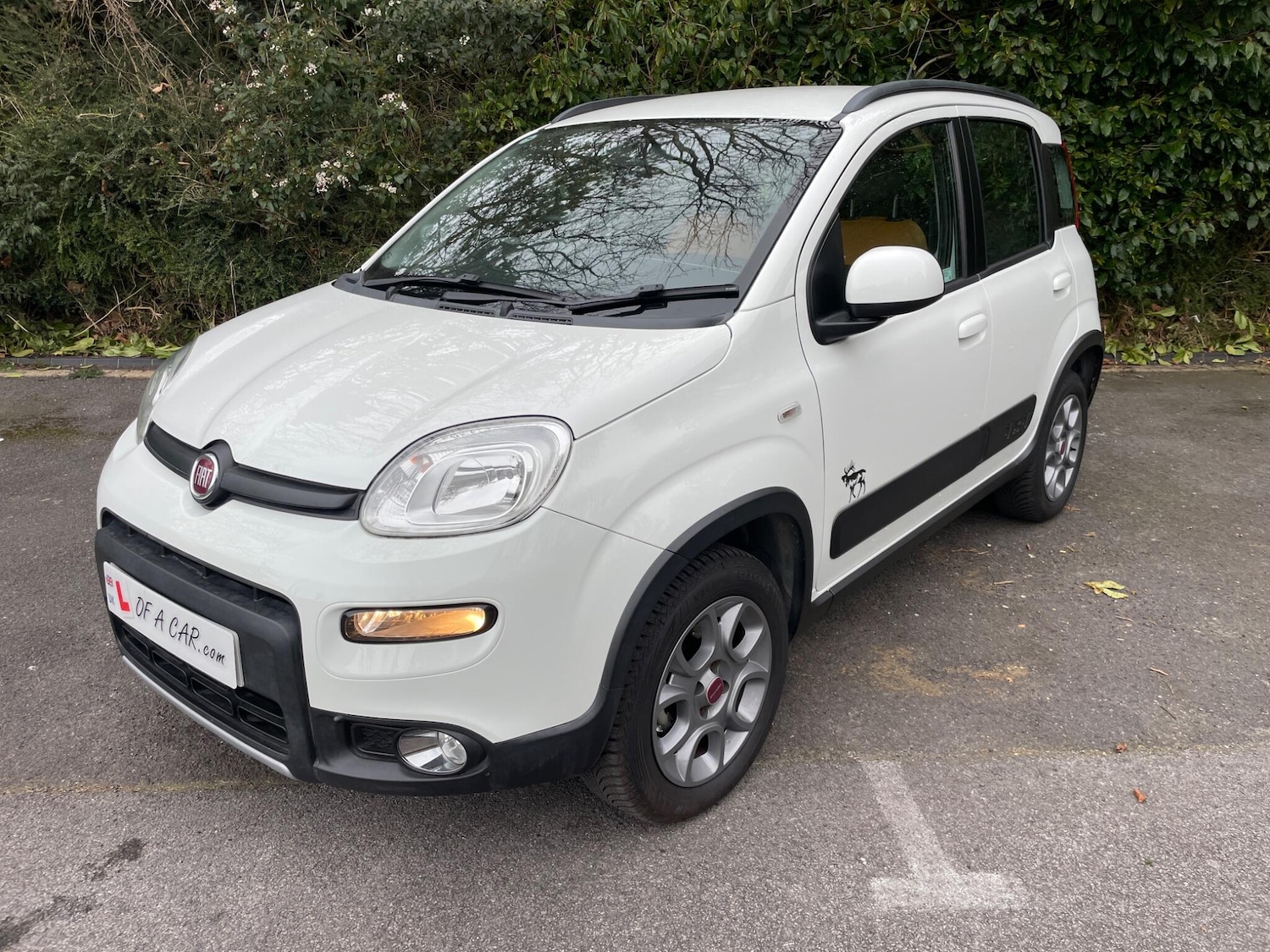 Used Fiat Panda 2015 for sale - 78224425: Photo 2