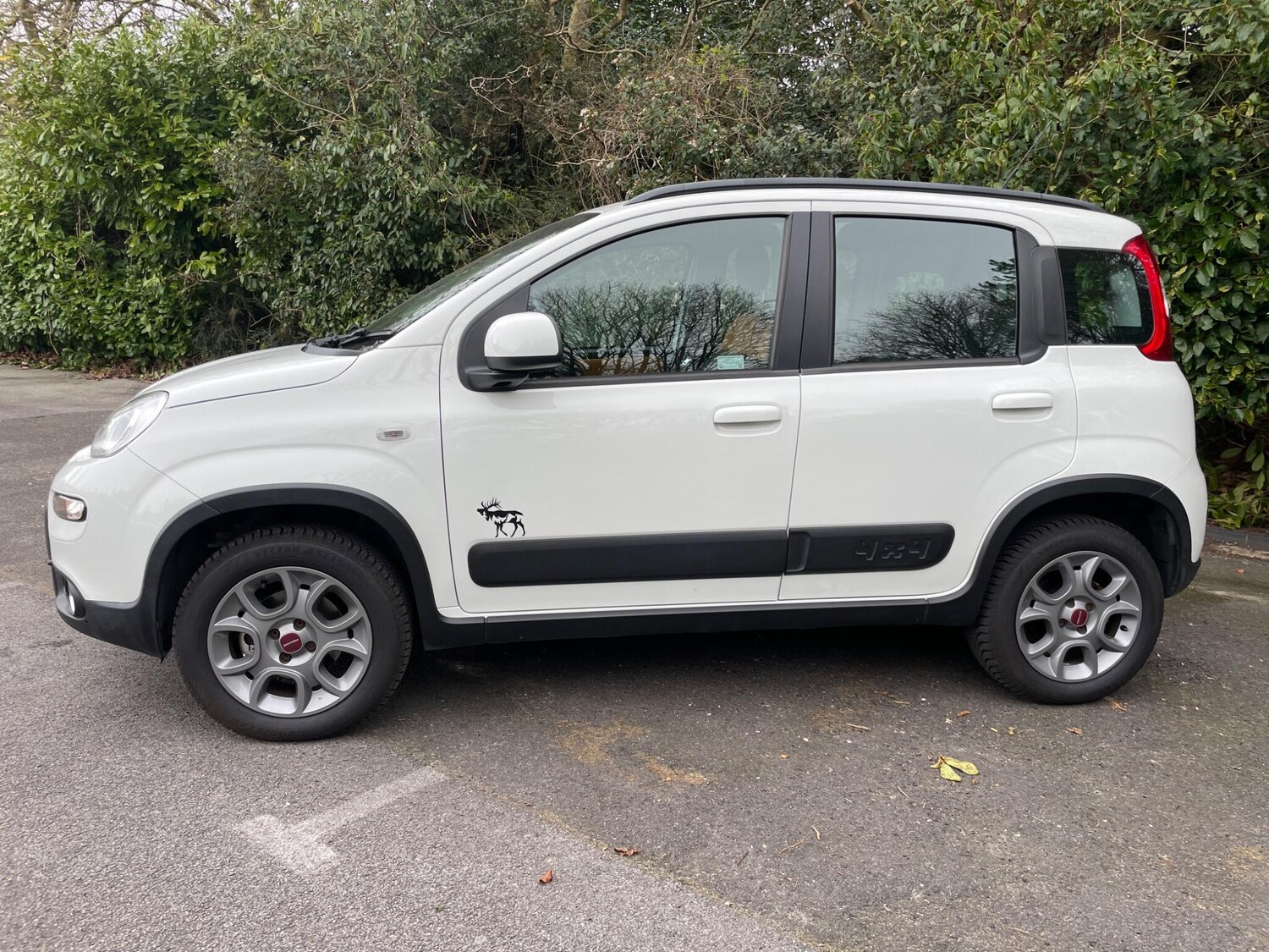 Used Fiat Panda 2015 for sale - 78224425: Photo 3