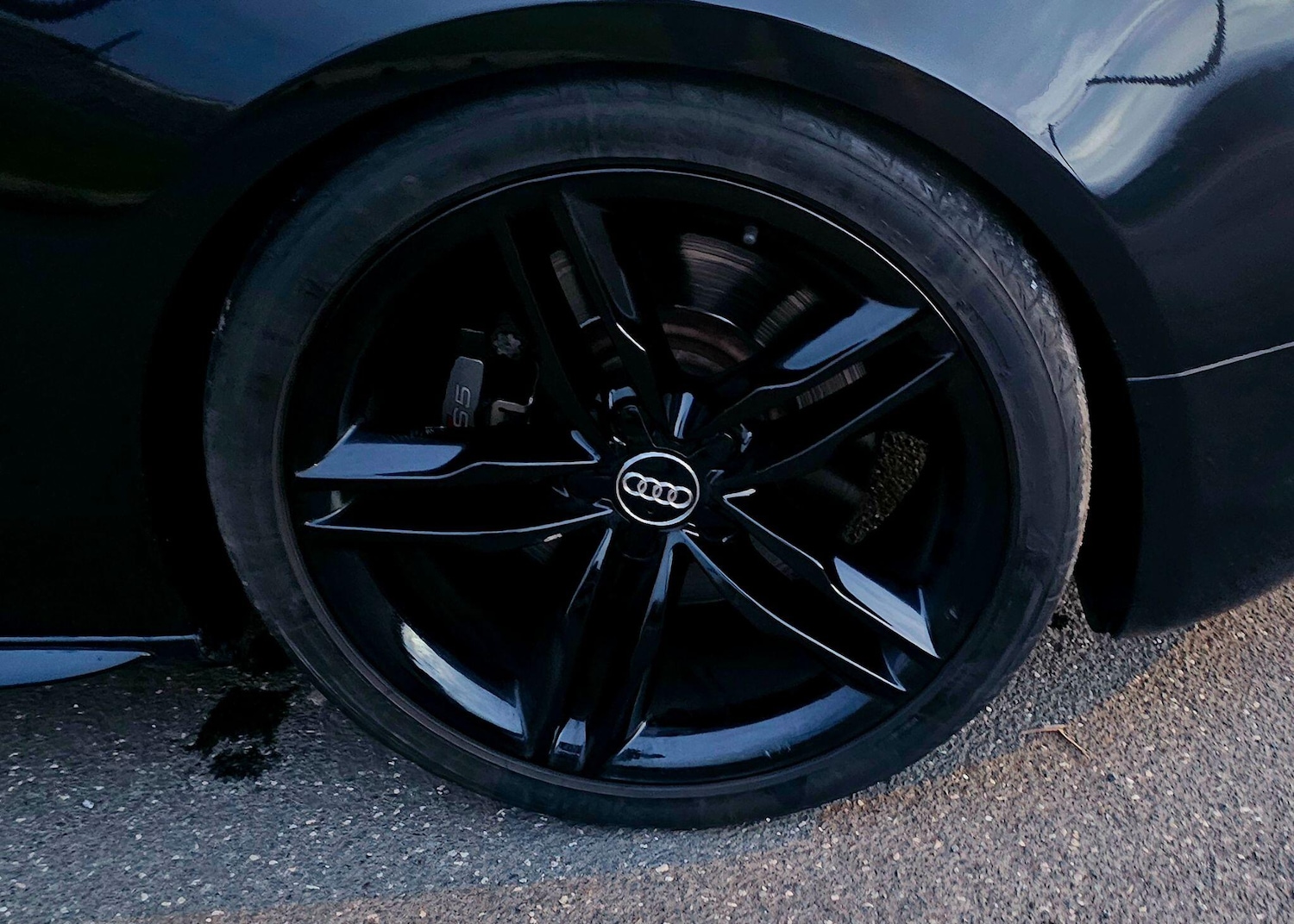 Used Audi S5 for sale - 77793371: Photo 19