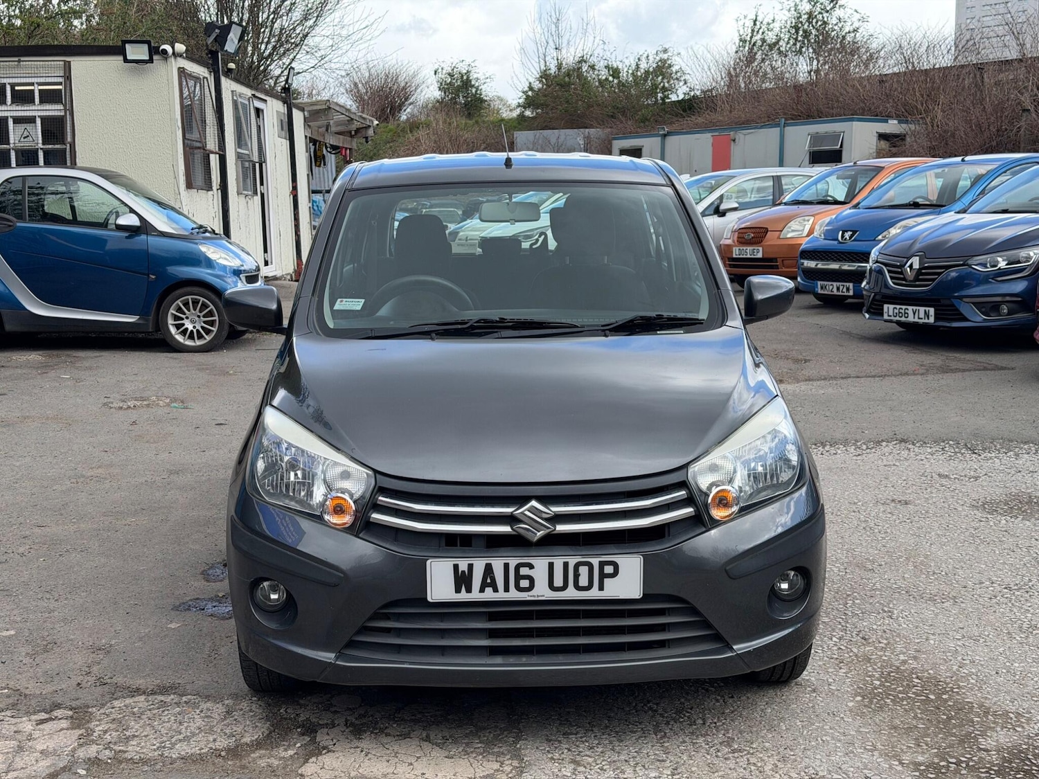 Used Suzuki Celerio 2016 for sale - 78072575: Photo 10