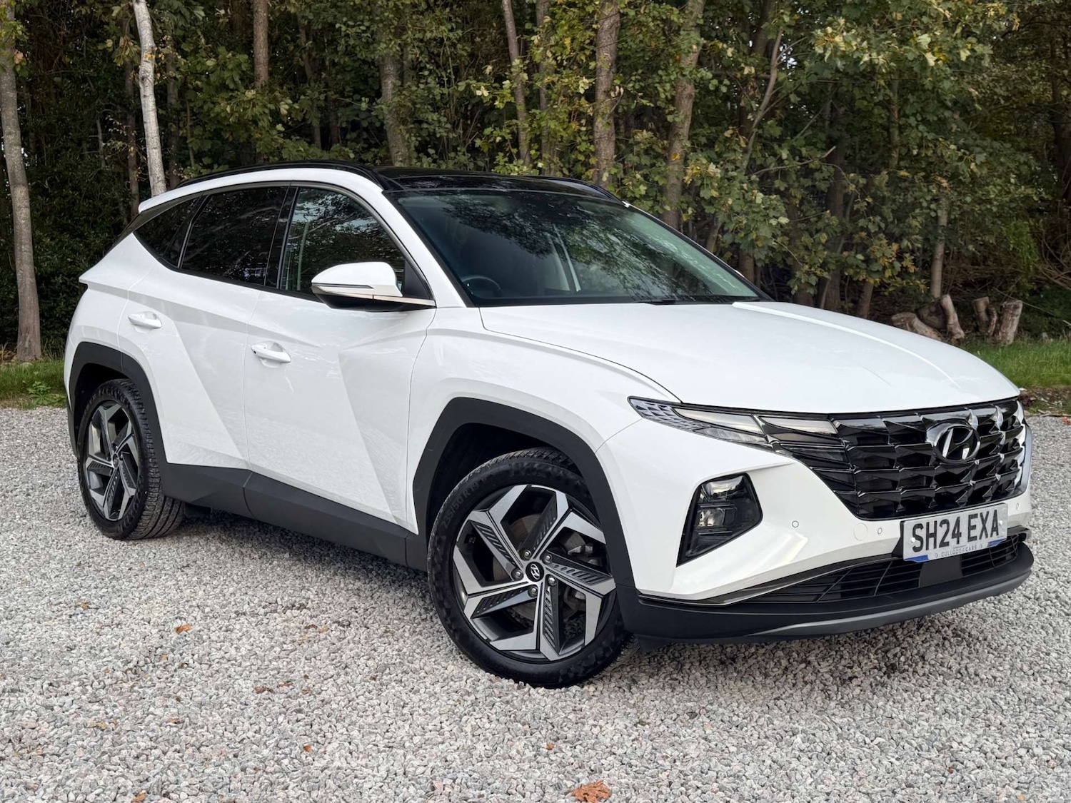 Used Hyundai TUCSON 2024 for sale - 76685277: Photo 1