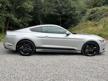 Used Ford Mustang 2016 for sale - 75877699: Photo