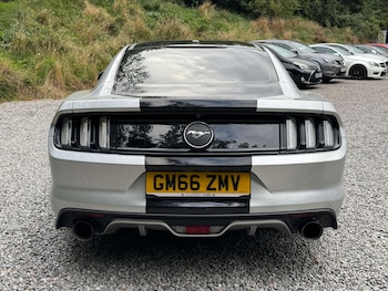 Used Ford Mustang 2016 for sale - 75877699: Photo