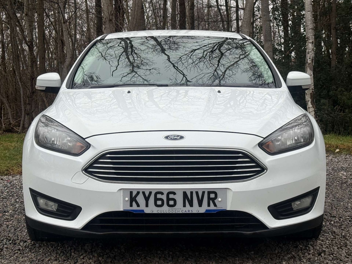 Used Ford Focus 2016 for sale - 77632211: Photo 8
