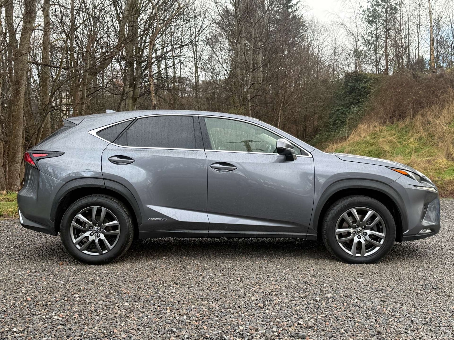 Used Lexus NX 2020 for sale - 77640552: Photo 3