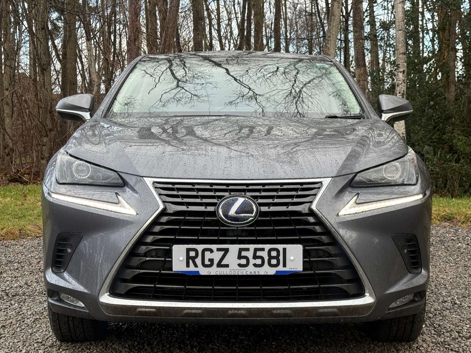 Used Lexus NX 2020 for sale - 77640552: Photo 9