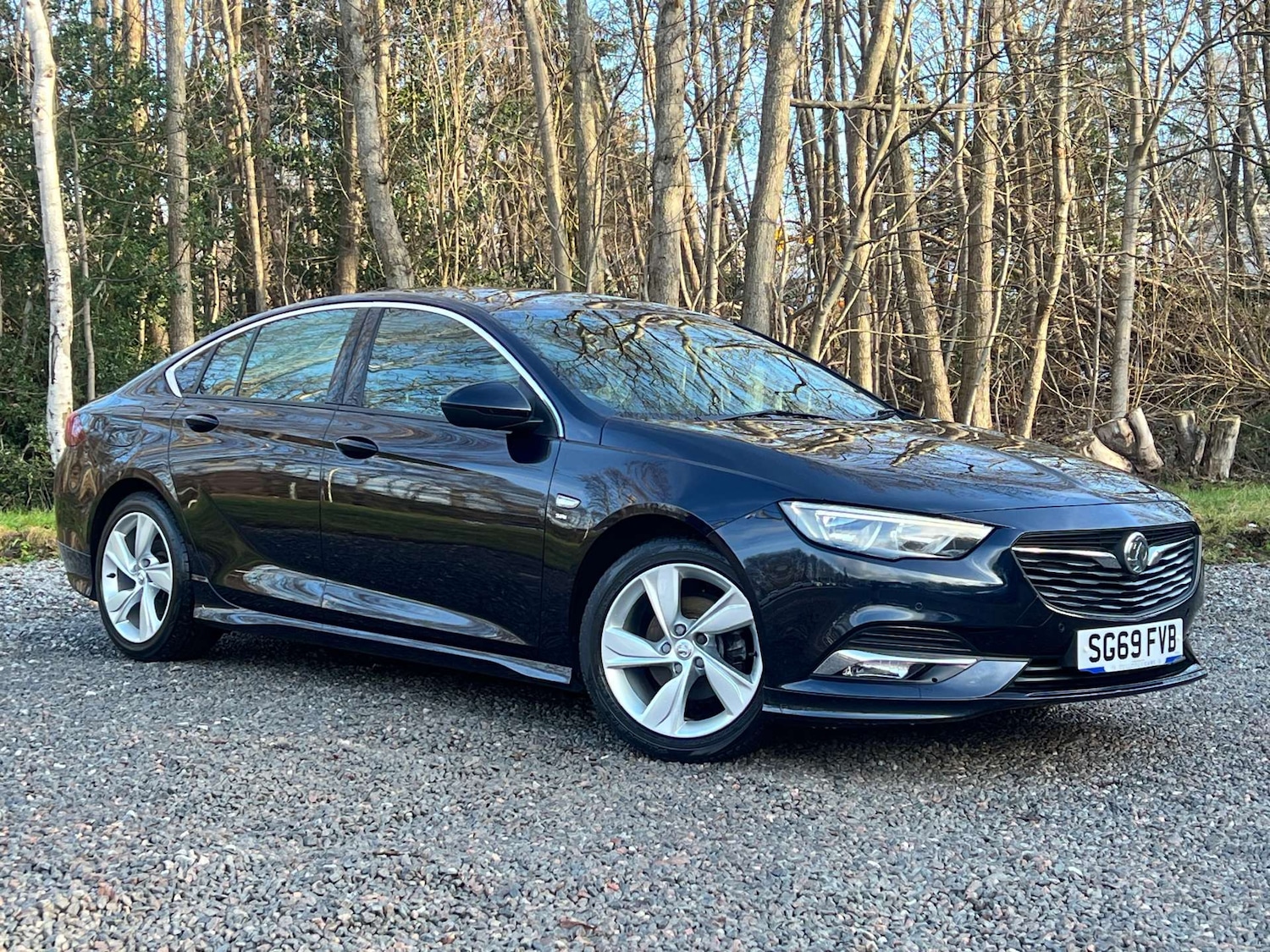 Used Vauxhall Insignia 2019 for sale - 77378419: Photo 1