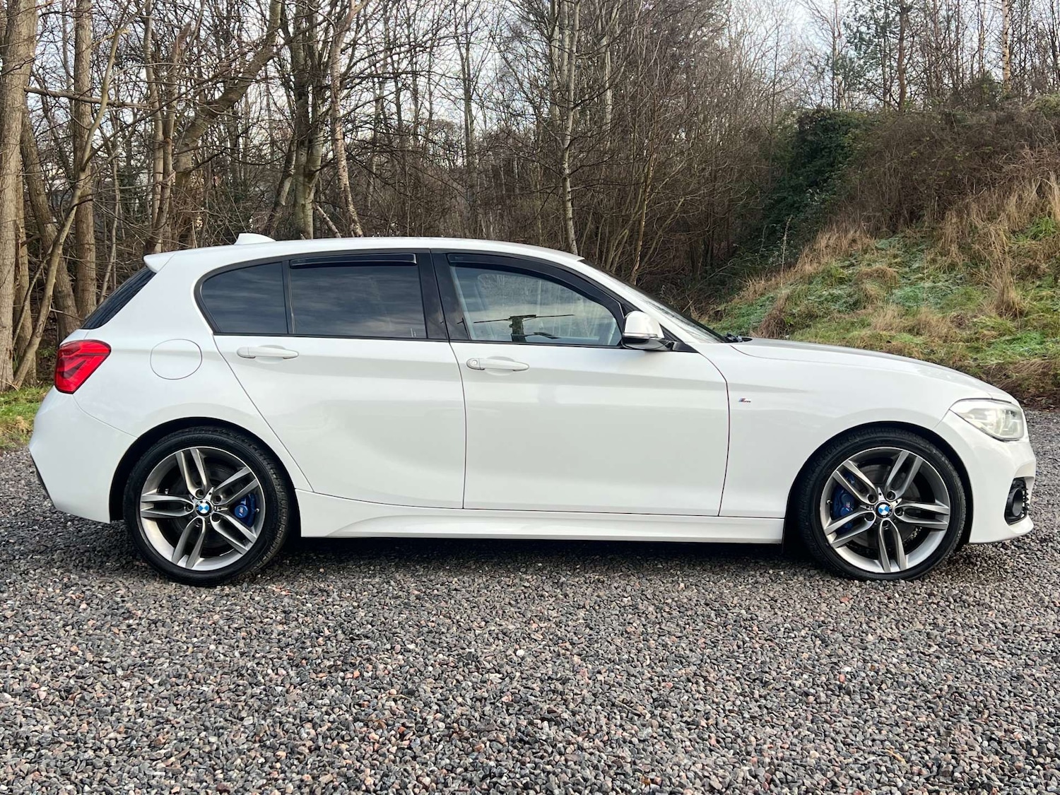 Used BMW 1 Series 2017 for sale - 77213725: Photo 3