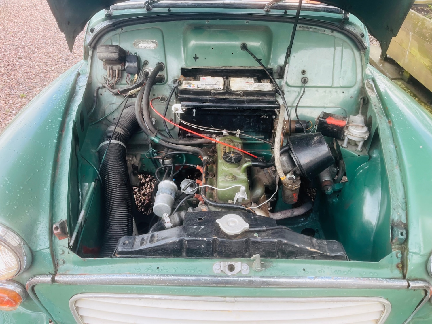 Used Morris Minor 1967 for sale - 77518993: Photo 18