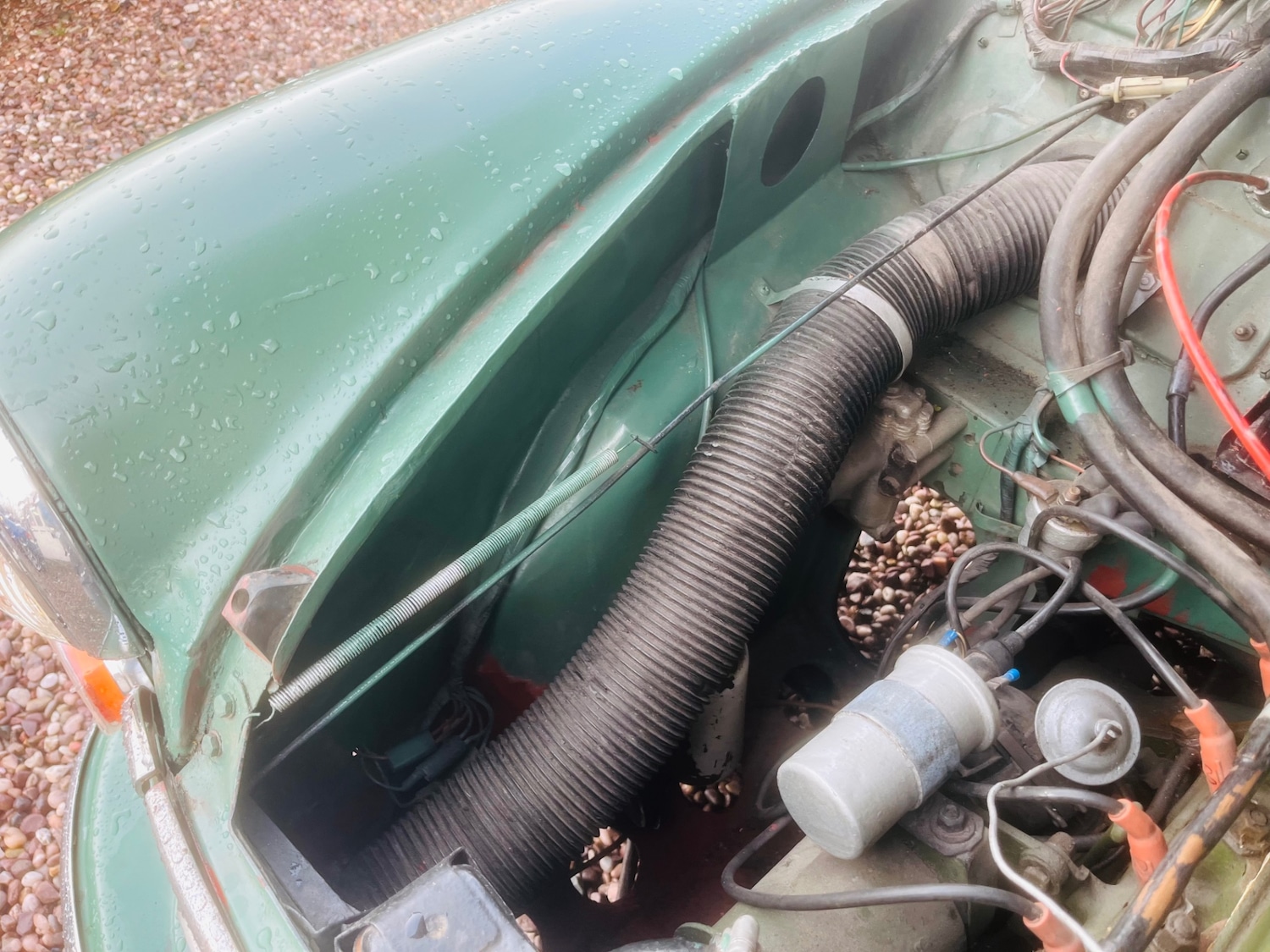 Used Morris Minor 1967 for sale - 77518993: Photo 20