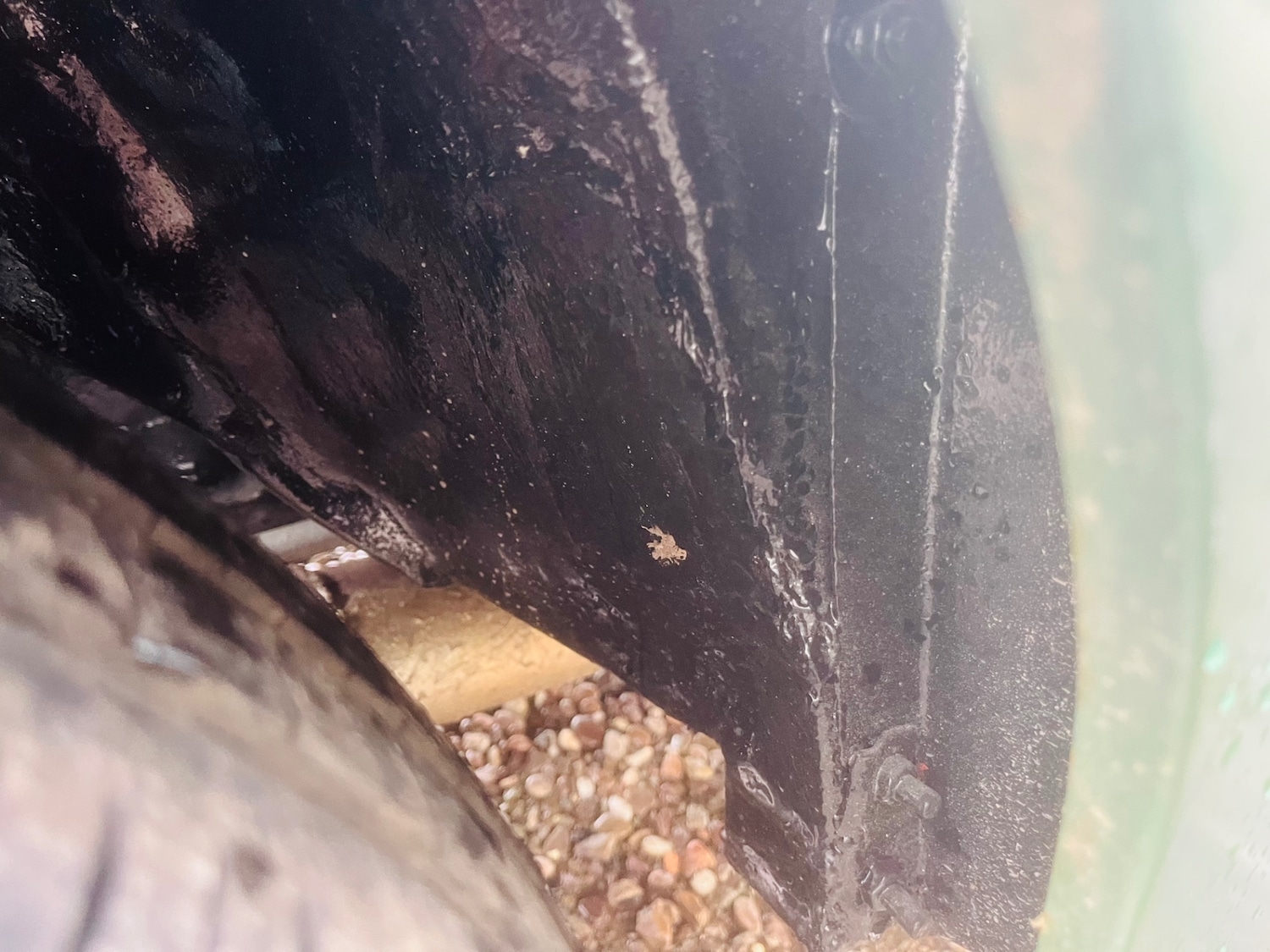 Used Morris Minor 1967 for sale - 77518993: Photo 25