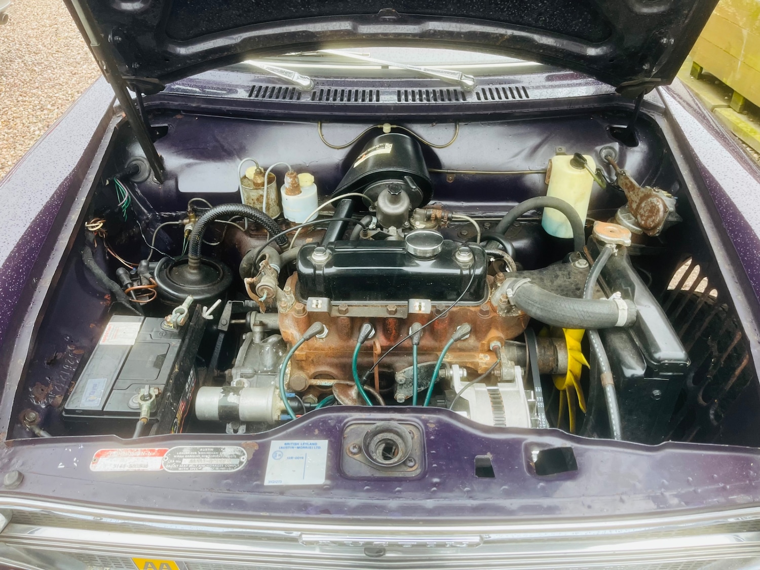 Used Austin 1100 1972 for sale - 77630169: Photo 18