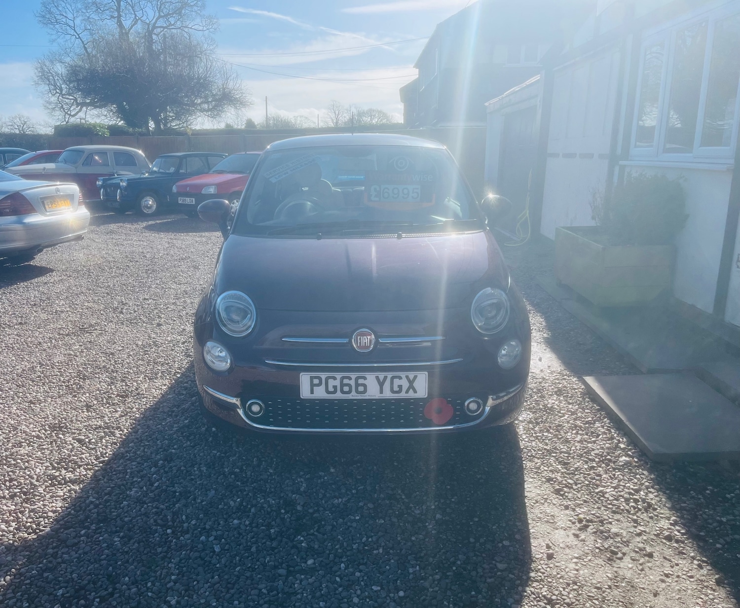 Used Fiat 500 2017 for sale - 77915476: Photo 2