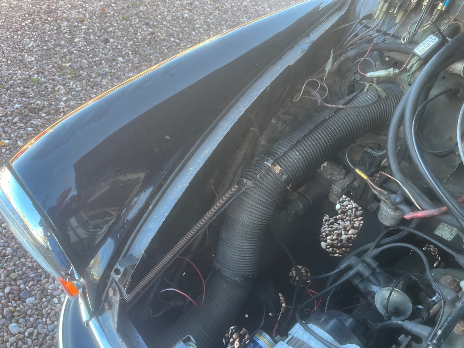 Used Morris Minor 1965 for sale - 76693691: Photo 16