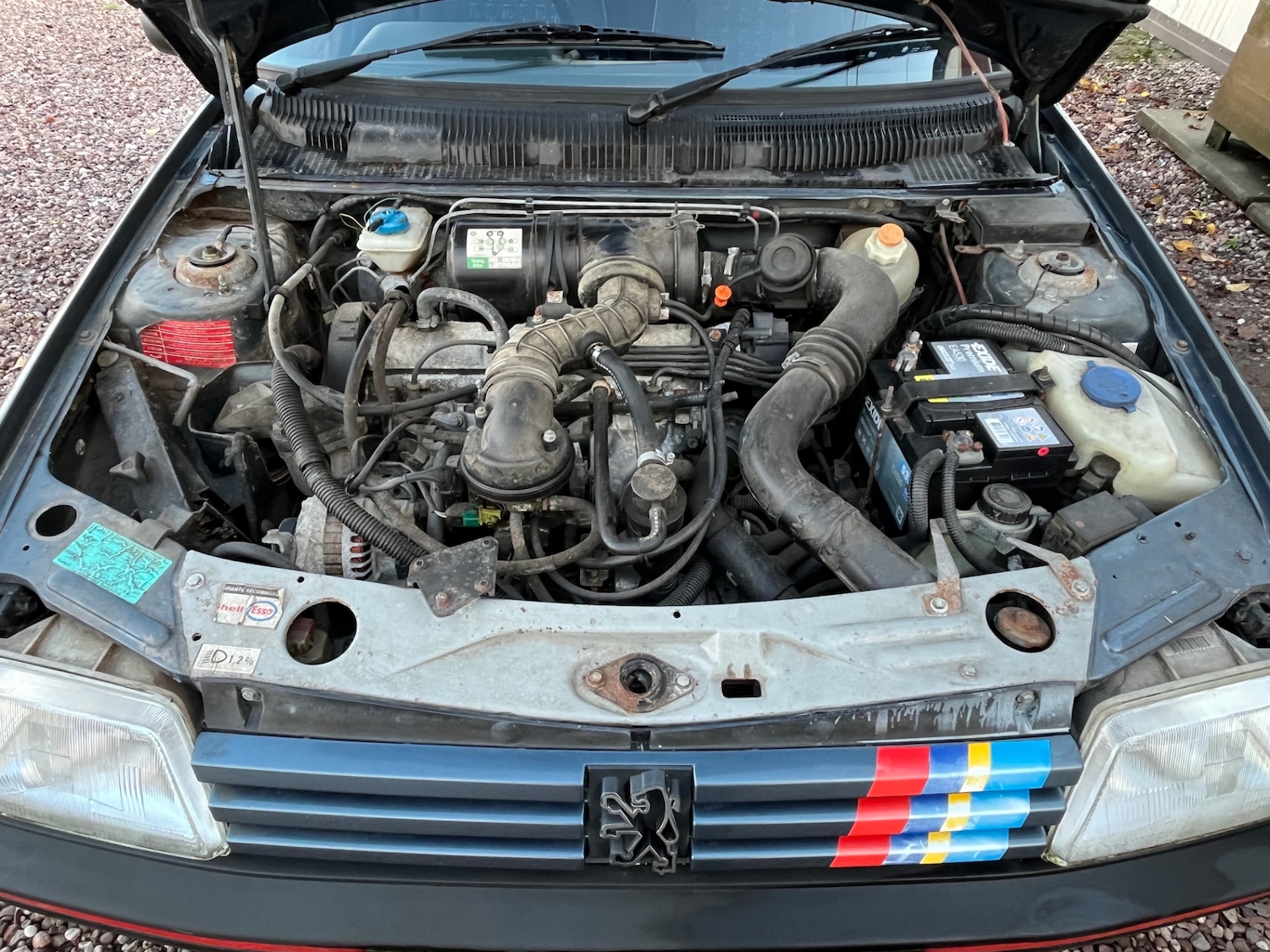 Used Peugeot 205 1995 for sale - 76794935: Photo 10