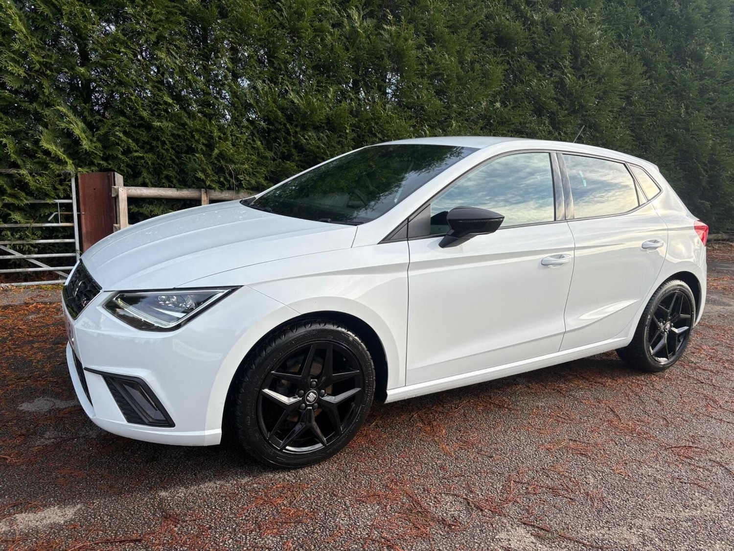 Used SEAT Ibiza 2020 for sale - 76712708: Photo 1