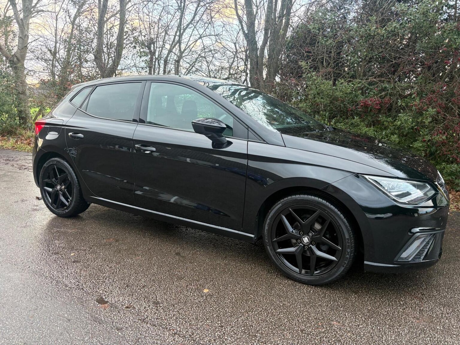 Used SEAT Ibiza 2019 for sale - 76734822: Photo 15