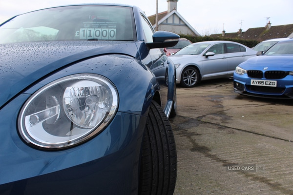 Used Volkswagen Beetle 2016 for sale - 77346022: Photo 11