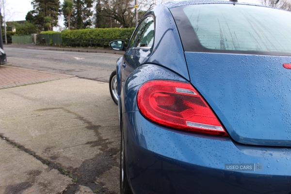 Used Volkswagen Beetle 2016 for sale - 77346022: Photo 12