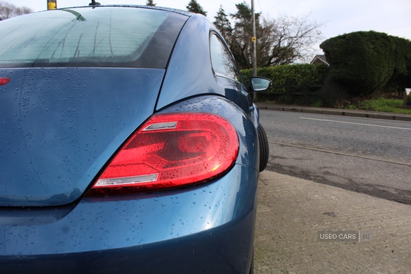 Used Volkswagen Beetle 2016 for sale - 77346022: Photo 13