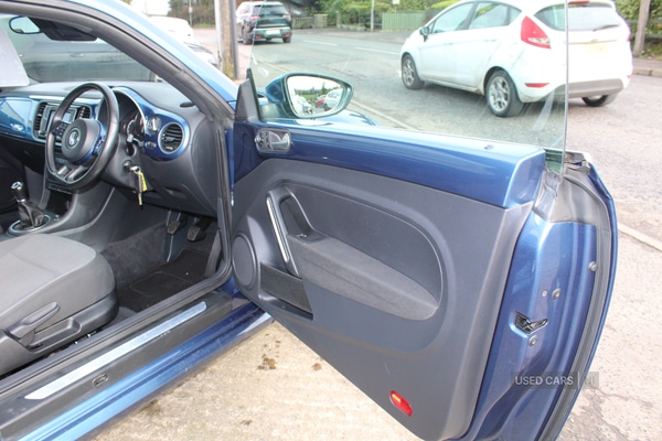 Used Volkswagen Beetle 2016 for sale - 77346022: Photo 16