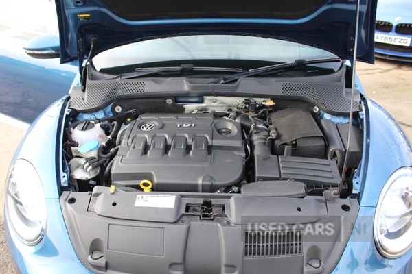 Used Volkswagen Beetle 2016 for sale - 77346022: Photo 27