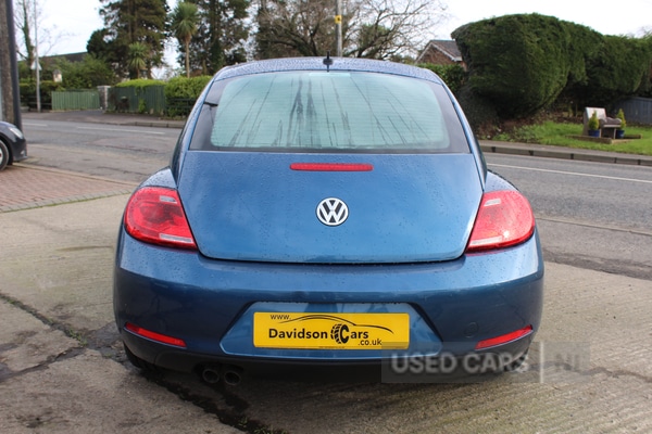 Used Volkswagen Beetle 2016 for sale - 77346022: Photo 5