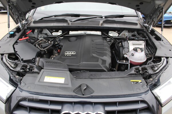 Used Audi Q5 2019 for sale - 76215987: Photo 43