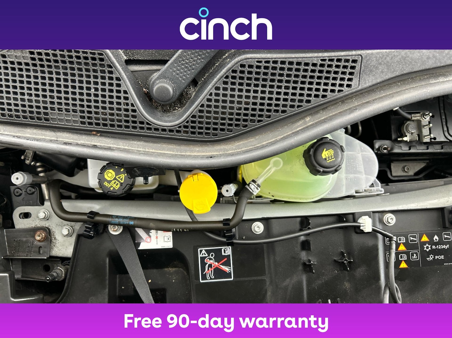 Used smart forfour 2020 for sale - 76788458: Photo 23