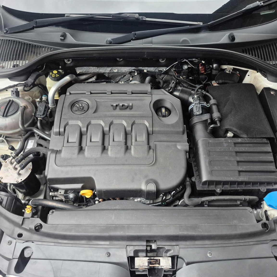 Used Skoda Octavia 2015 for sale - 76483015: Photo 18