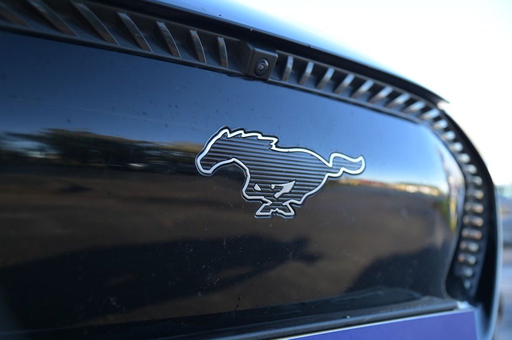 Used Ford Mustang Mach-E 2021 for sale - 76417374: Photo 34