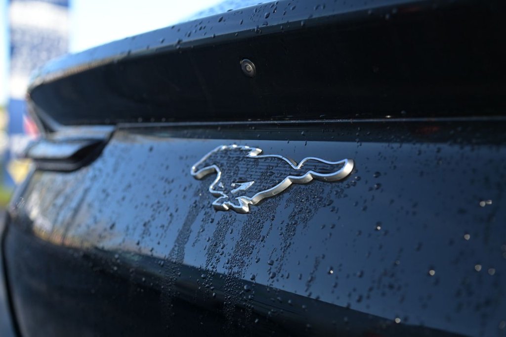 Used Ford Mustang Mach-E 2021 for sale - 76417374: Photo 46