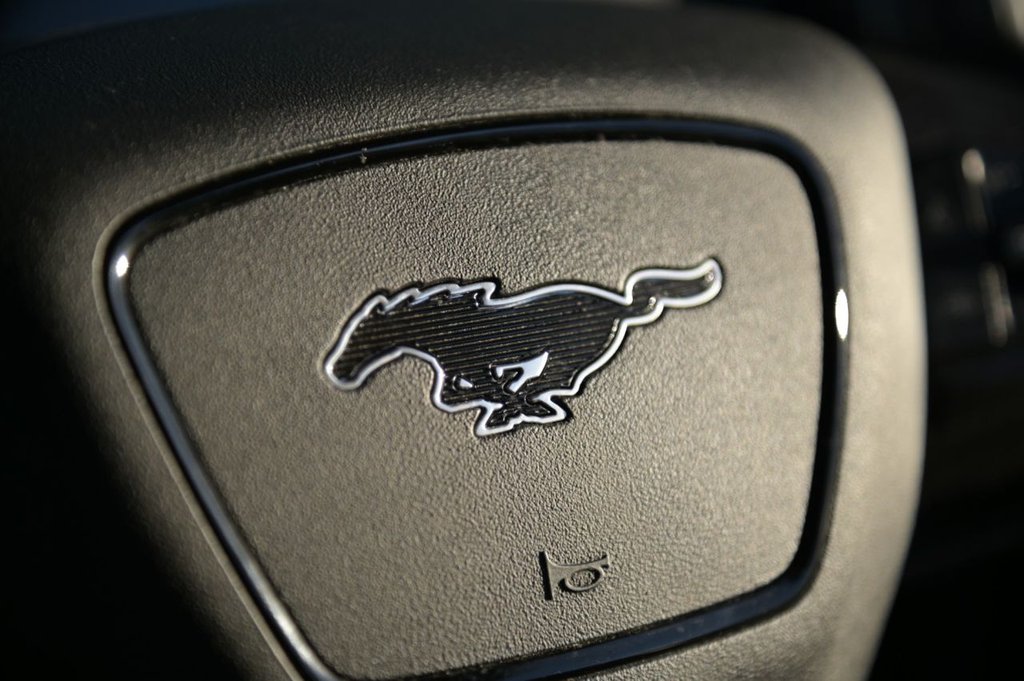 Used Ford Mustang Mach-E 2021 for sale - 76417374: Photo 8