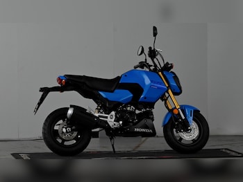 Used Honda MSX125 2025 for sale - bike-77826555: Photo